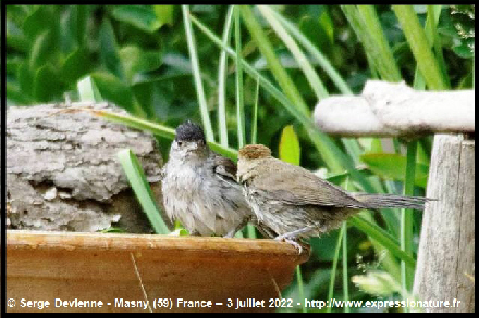 clic pour agrandir