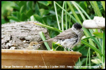 clic pour agrandir