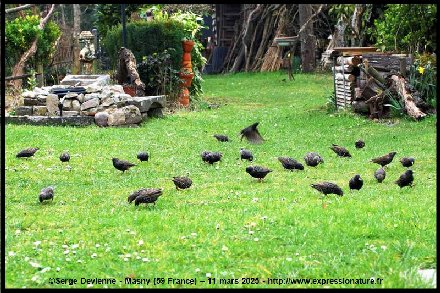 clic pour agrandir