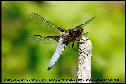clic pour agrandir